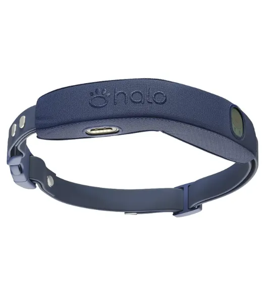 Midnight Blue Halo Collar 5